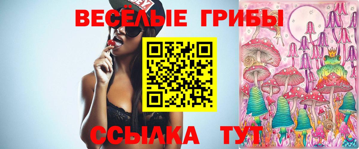 Галлюциногенные грибы мухоморы Гурьевск