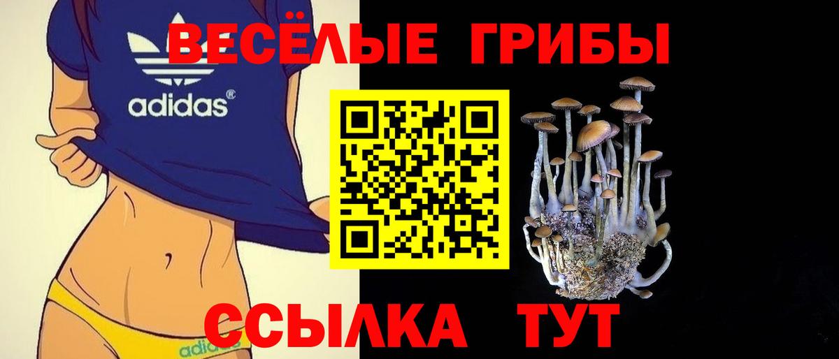 Галлюциногенные грибы GOLDEN TEACHER  Вход с VPN  Галлюциногенные грибы Psilocybine cubensis  Гурьевск 